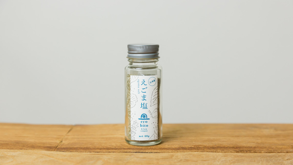 salt-front