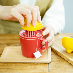 ARITA JIKI juicer