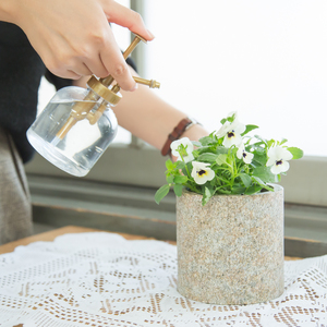ROCK POT